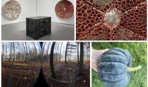 KLUBAFTEN: Kunst, klima og videnskabelig data 