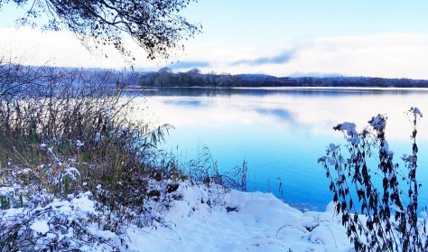 Juletur ved Kongens Møller 