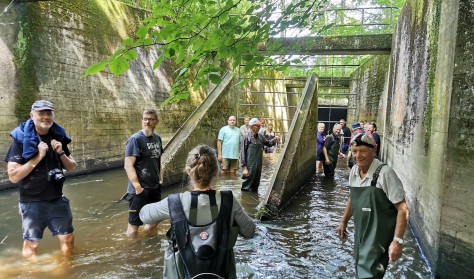 Flagermus-safari i den mørke tunnel