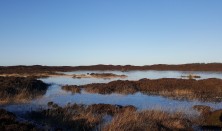 Henne Historier - Turister, naturalister og naturister