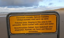 Kærgård Klitplantage - Miljøskandale og storslået natur