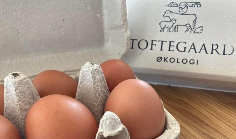 Store Bededag - Økologivandring hos Toftegaard