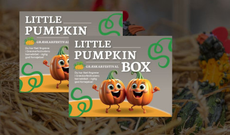 Pumpkin Box Børnebillet (mandag-lørdag) FORUDBESTILLING 