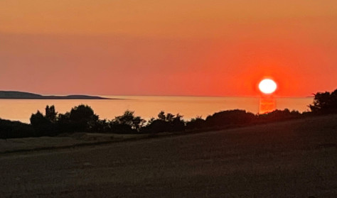 FRA MARKEN TIL GLASSET