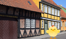 Hjælp påskekyllingen  - findeleg for børn