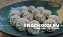 Græskarfestivalens snackskole