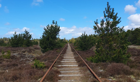 Nytårsvandring i Lønne