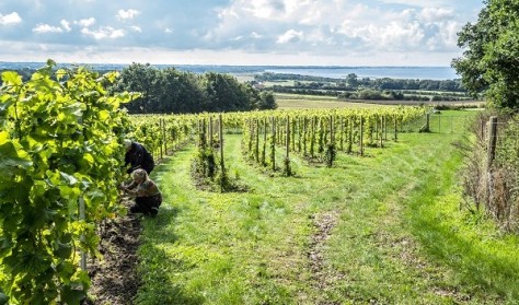 Unikke madoplevelser i Odsherred - Sydruten