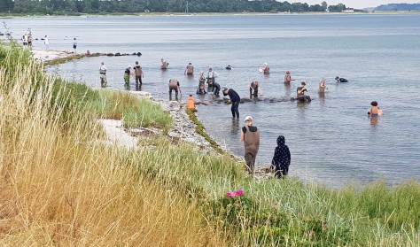 Tangsafari Rørvig