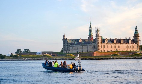 Marsvinesafari med Øresundsakvariet - Dagtur