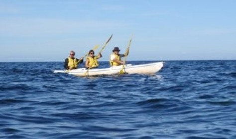 Fjordtur med guide på Roskilde fjord