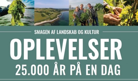 Oplevelser - 25.000 år på en dag