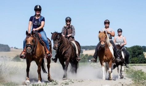 Til hest på Lammefjorden