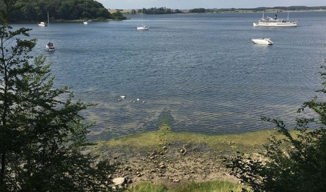 Roskilde set fra 2 høje i Nationalpark Skjoldungernes land