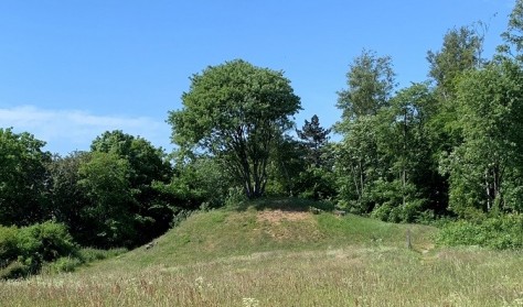 Bronzealder, istid og vilde urter