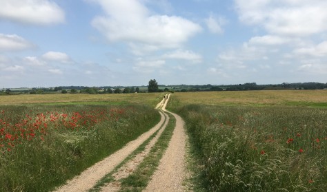 Guidet: 2 Kongebyer i Nationalpark Skjoldungernes Land