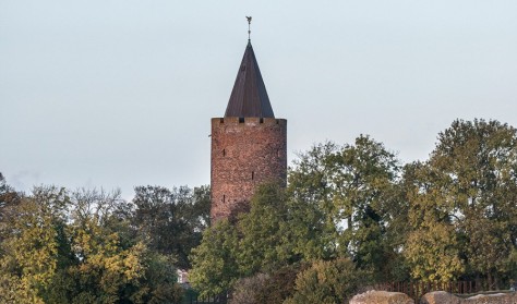 Omvisning på Borgen