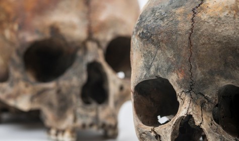 Temaomvisning: På tur på Køge Museum