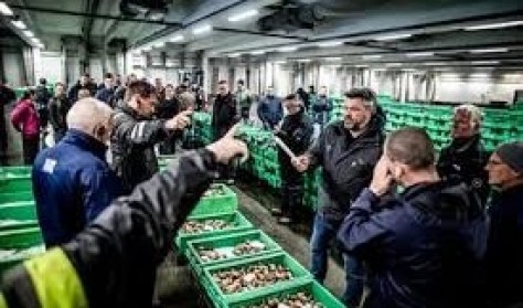 Guidet tur på Hanstholm Havn | Fødevarer i Thy