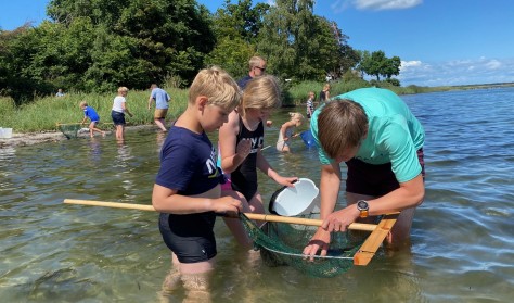 Børnefamilieaktivitet - Livet på det lave vand