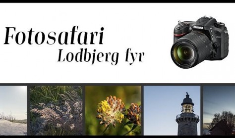 Thy-Fotosafari | Kunst og Kultur | Outdoor