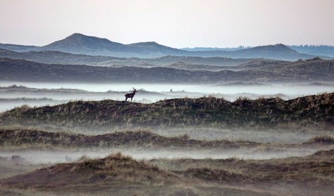 Ud og oplev Nationalpark Thy | Ourdoor