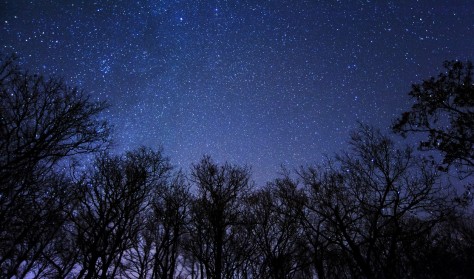 Mørkeoplevelser og meteorsværmen Geminiderne i Dark Sky Park på Møn