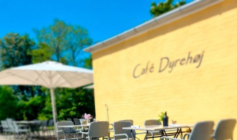 Café Dyrehøj - Smag lokalt