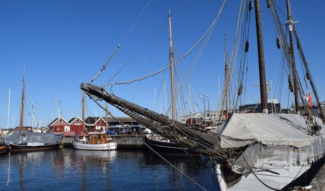 Omvisning på Holbæk Havn