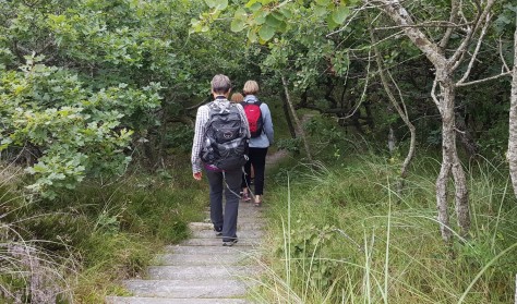 De tilsandede ege - Vild vestjysk natur