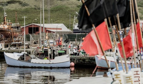 Havnerundfart