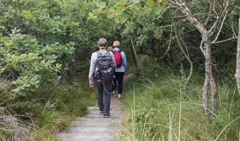 De tilsandede ege - Vild vestjysk natur!