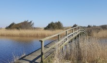 Sommervandring - Gammelgab Strand til Hattebjerget