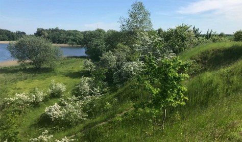 Forårsaften tur på Humlebjerg