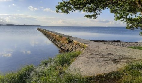 Tangsafari og strandens spiselige planter (Anneberg Nyk. Sj.)