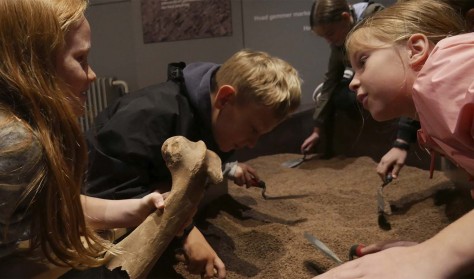 Bliv arkæolog for en dag på Holbæk Museum