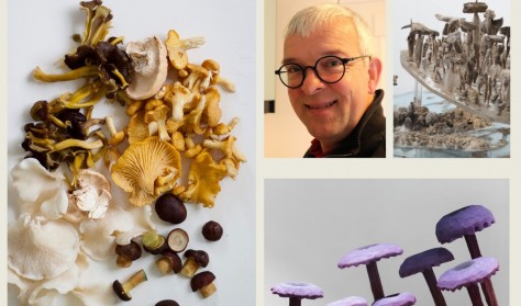 SVAMPEDAG: Sankning v. naturvejleder Keld Hauge og oplæg om svampe i kunsten