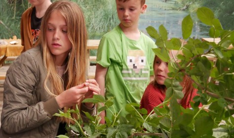 Efterårsferie med et festfyrværkeri af oldtid