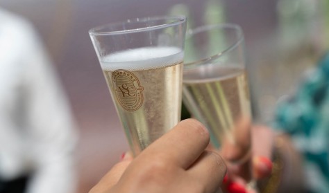 VIP Access to Enter Art Fair