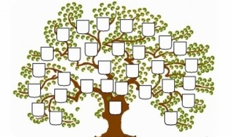 Lav et stamtræ - Slægtsforskning for børn