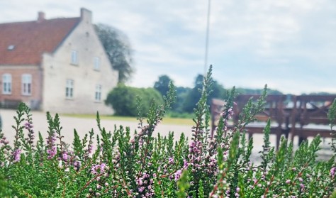 Pinsebrunch