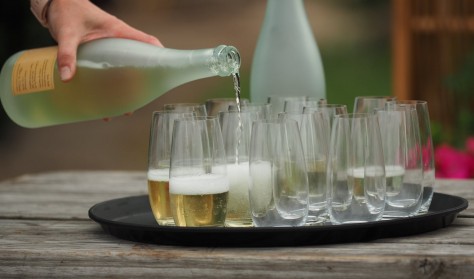 Vinsmagning og markvandring